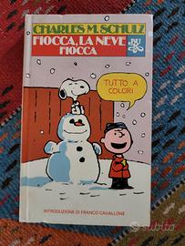 Fiocca, la neve fiocca