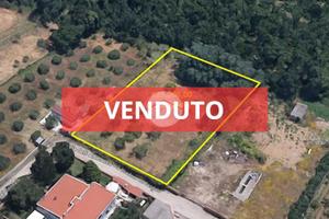 TER. RESIDENZIALE A ANZIO