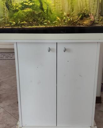 Acquario 100 litri