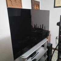 LG C1 48 TV OLED (in condizioni perfette)