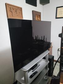 LG C1 48 TV OLED (in condizioni perfette)
