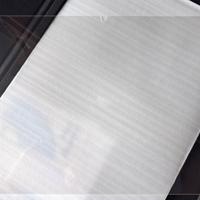 VETRO TEMPERATO PER TABLET SAMSUNG GALAXY TAB S10