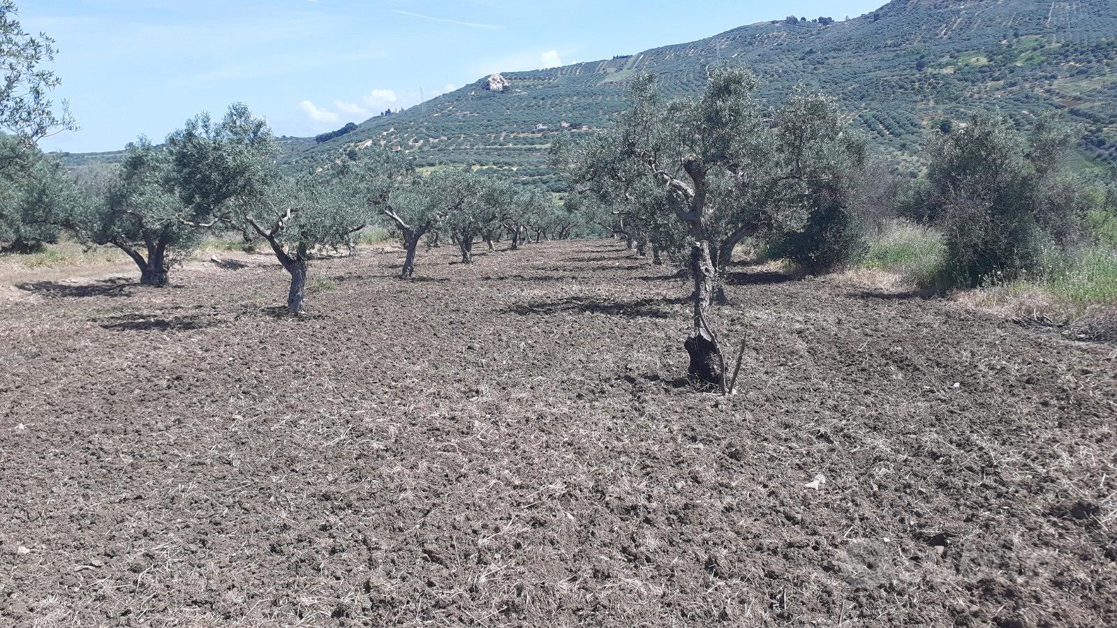 Terreno di 6 tumoli - Vista 3