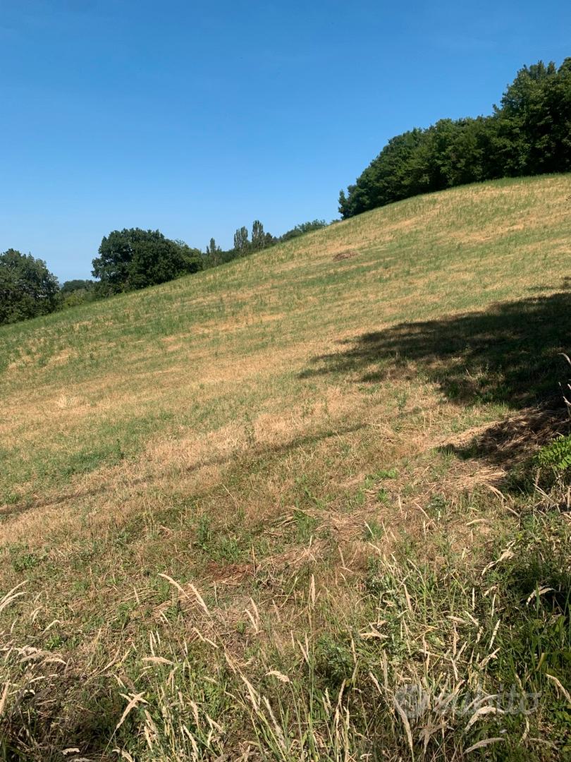 Terreno agricolo - Vista 2