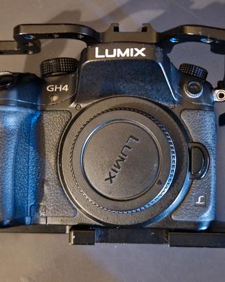 PANASONIC LUMIX GH4
