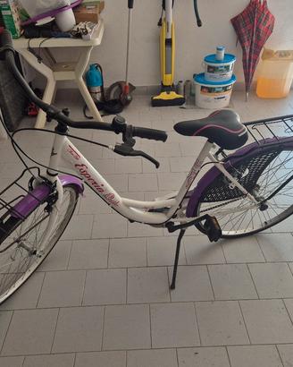 Bicicletta