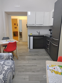 Appartamento San pietro- Vaticano