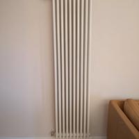 Termosifone tubolare acciaio 10 elementi