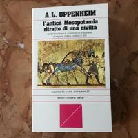 L’antica Mesopotamia ritratto di una civiltà