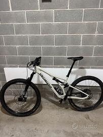 Specialized Stumpjumper