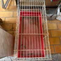 gabbietta per animale