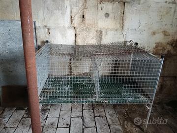 gabbia per conigli 