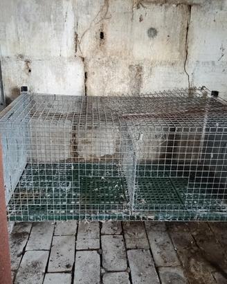 gabbia per conigli 