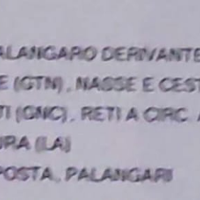 Barca da pesca con licenza