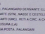 Immagine 1