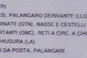 Barca da pesca con licenza