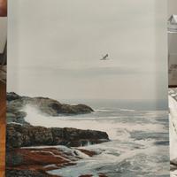 Quadro su tela Pjatteryd 70x50 mare e gabbiano