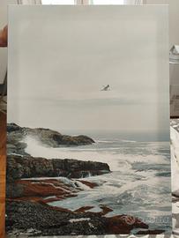 Quadro su tela Pjatteryd 70x50 mare e gabbiano