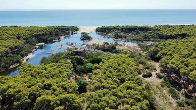 Dal 21 al 26 Agosto a Ginosa vicinissimi al mare