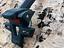 Immagine 4