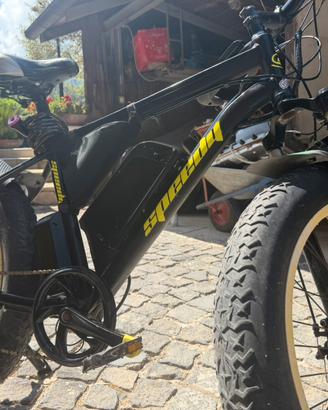 Fat bike modello Speedy 26" pedalata assistita e a