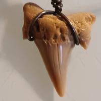 Collana Artigianale Dente Squalo 