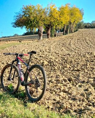 specialized usata