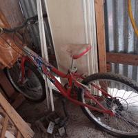 bici montebayc nuova