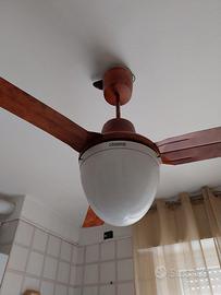 Ventola soffitto con luce