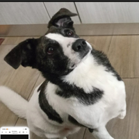 Luce femmina 3anni TRIPODE URGE CASA.NUORO