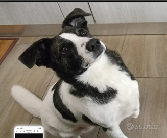 Luce femmina 3anni TRIPODE URGE CASA.NUORO