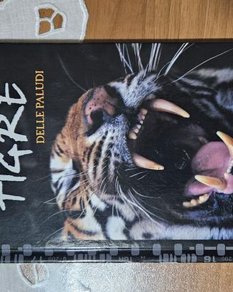 DVD documentario sulla Tigre delle paludi