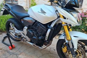 Honda hornet