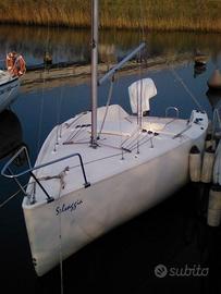 minicabinato a vela CADEI LIMIT TCI metri 5