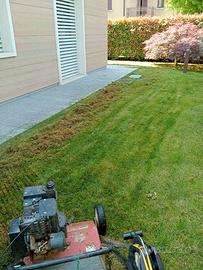 Arieggiatore ibea verticut