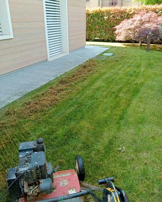 Arieggiatore ibea verticut