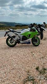 Kawasaki Ninja ZX-6 - 2024
