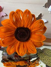 Girasole, un pensierino bellisimo