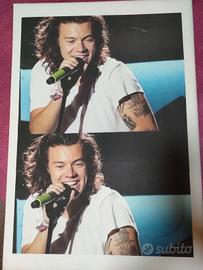 STAMPA SU TELA HARRY STYLES