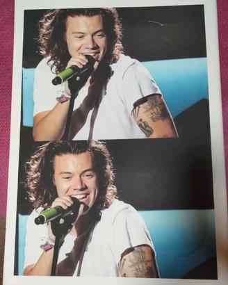STAMPA SU TELA HARRY STYLES