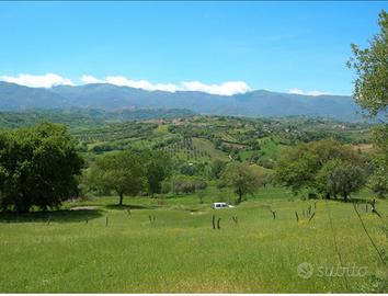 Terreno agricolo con casa a Montalto U. (Cosenza)