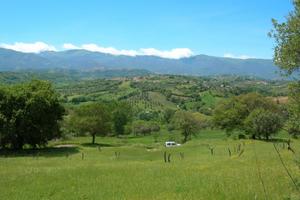 Terreno con nucleo rurale a Montalto U. (Cosenza)