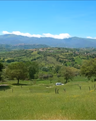 Terreno agricolo con casa a Montalto U. (Cosenza)