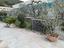 Immagine 8