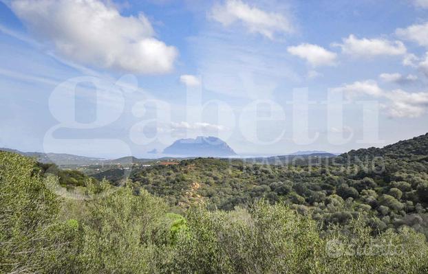 Rustico/Casale/Corte Olbia [Cod. rif 3180231VRG]