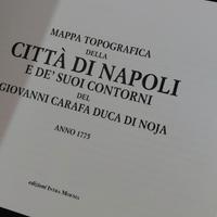 Mappa topografica della Città di Napoli
