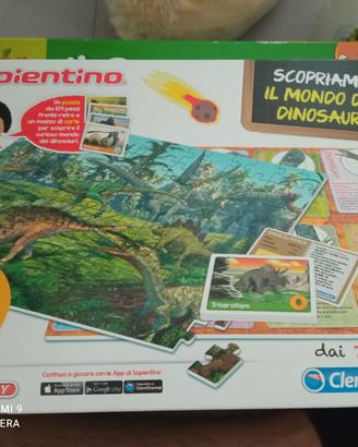 Puzzle sapientino
