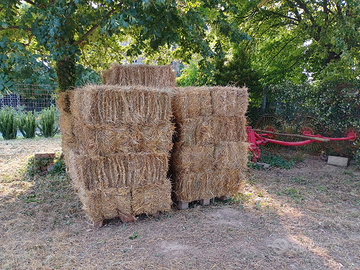 Fieno ballette puccole