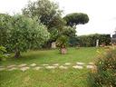 m116-m-castagneto-ampio-trilocale-piano-terra-giar