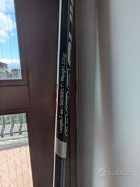 bolognese Milo morphing xs